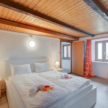 Daire Rustic Mountain